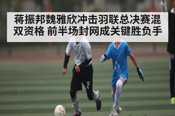 蒋振邦魏雅欣冲击羽联总决赛混双资格 前半场封网成关键胜负手 | kaiyun